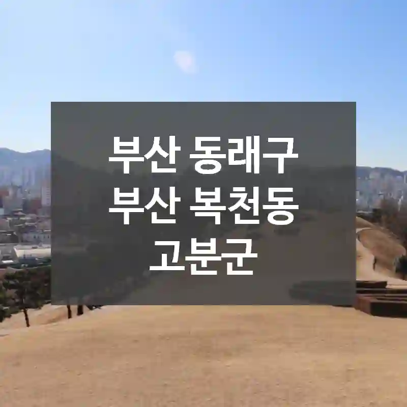 부산 동래구
부산 복천동 고분군