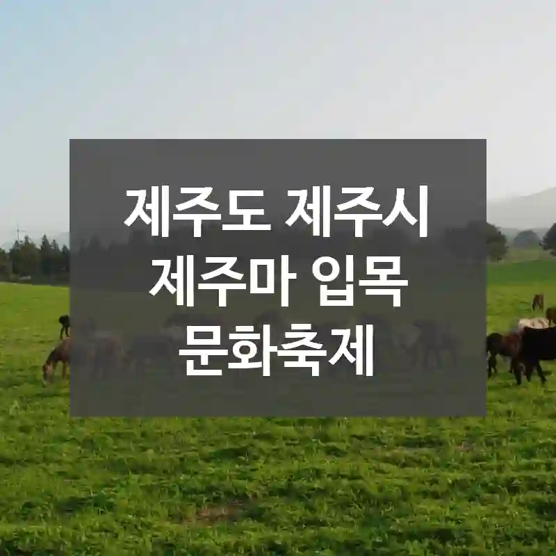 제주도 제주시
제주마 입목 문화축제