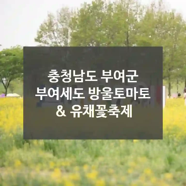 충청남도 부여군
부여세도 방울토마토 & 유채꽃축제