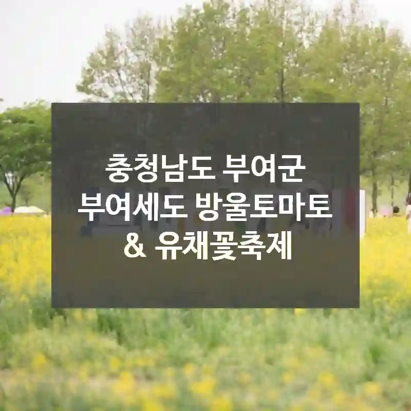 충청남도 부여군
부여세도 방울토마토 & 유채꽃축제