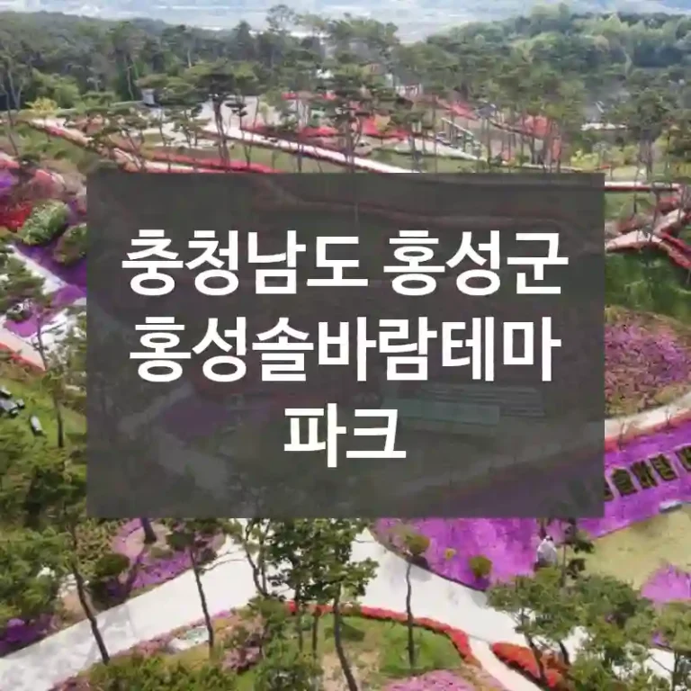 충청남도 홍성군
홍성솔바람테마파크