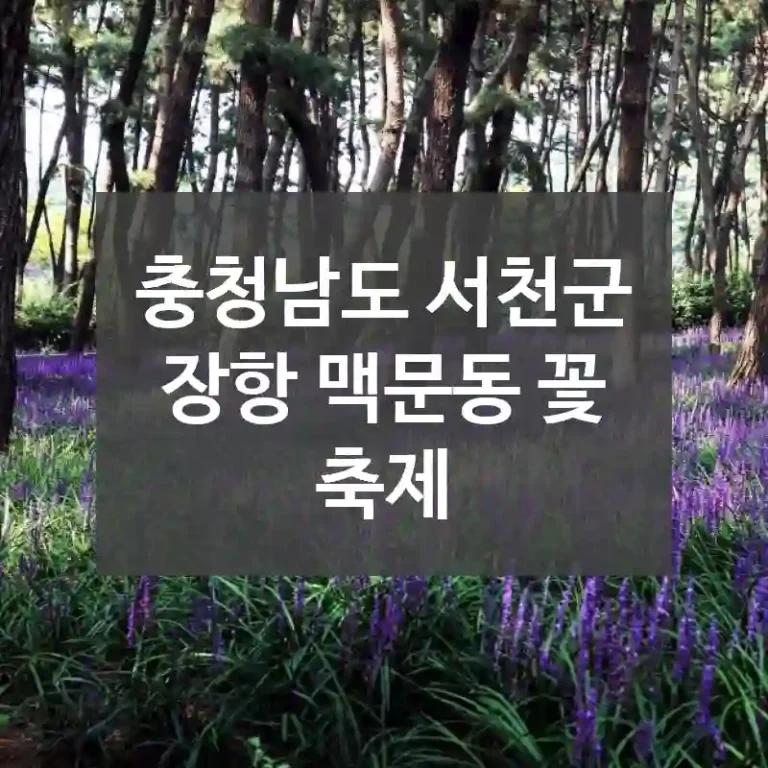 충청남도 서천군
장항 맥문동 꽃 축제