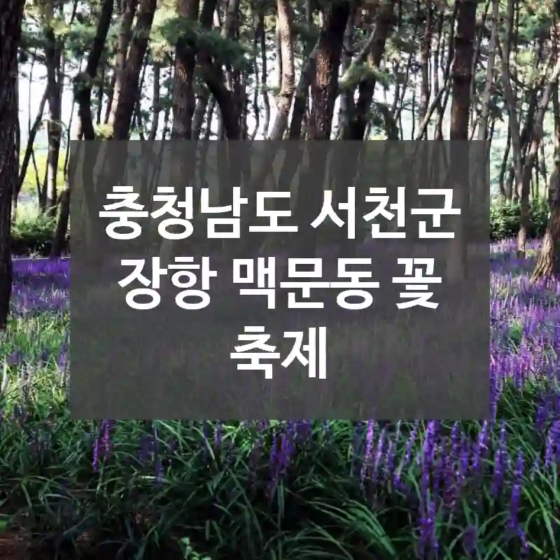 충청남도 서천군
장항 맥문동 꽃 축제