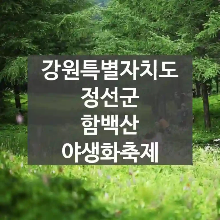 강원특별자치도 정선군
함백산 야생화축제