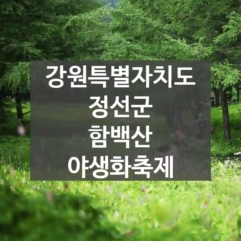 강원특별자치도 정선군
함백산 야생화축제