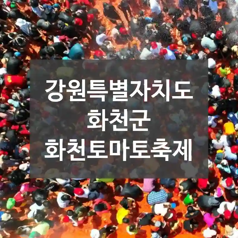강원특별자치도 화천군
화천토마토축제