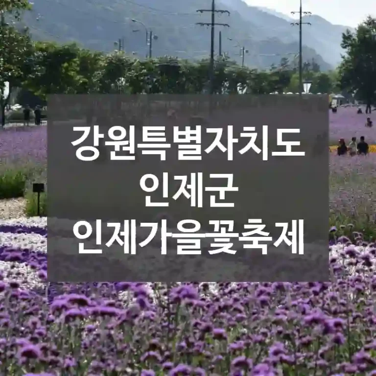 강원특별자치도 인제군
인제가을꽃축제