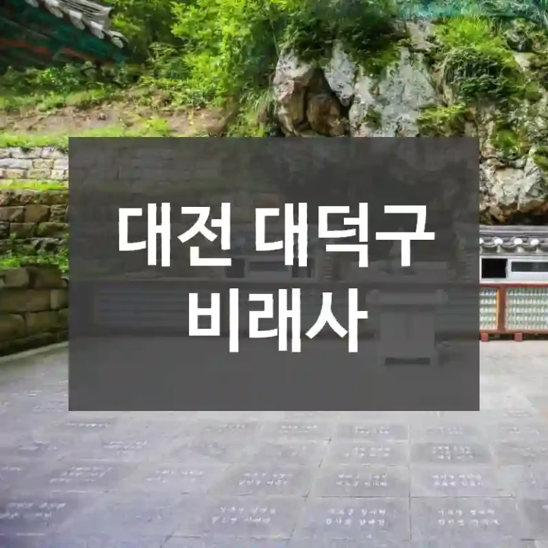 대전 대덕구
비래사