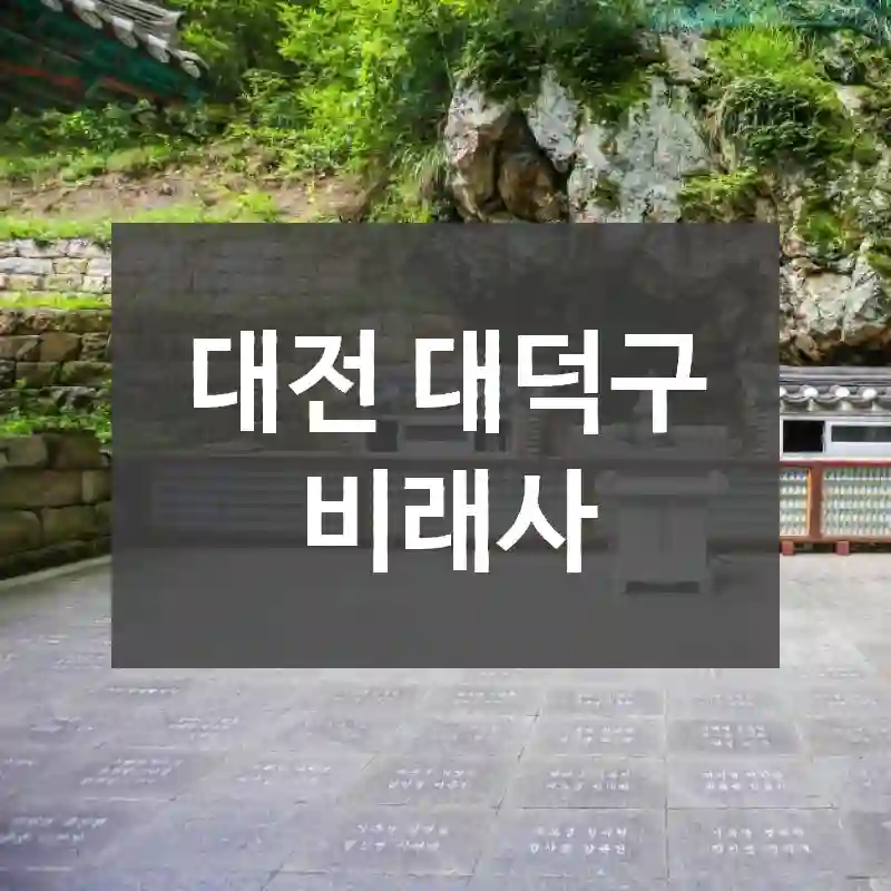 대전 대덕구
비래사