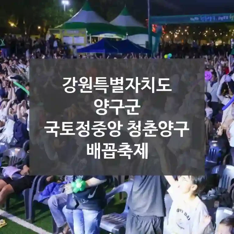 강원특별자치도 양구군
국토정중앙 청춘양구 배꼽축제