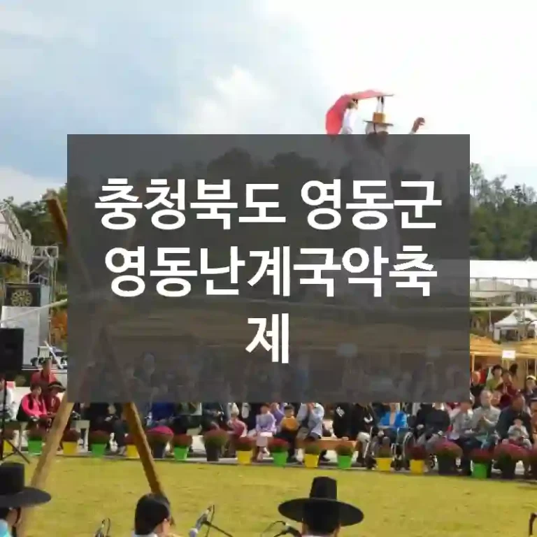 충청북도 영동군
영동난계국악축제