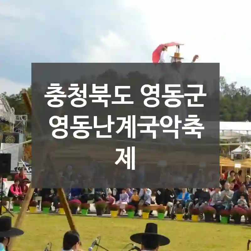 충청북도 영동군
영동난계국악축제