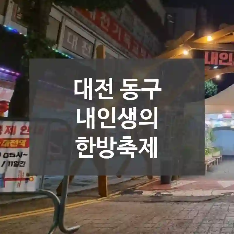 대전 동구
내인생의 한방축제