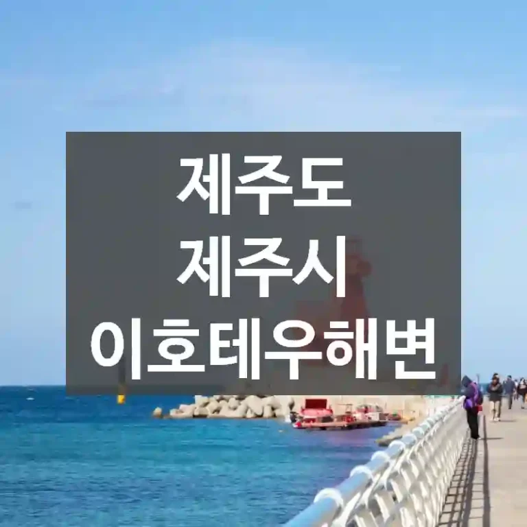 제주도 제주시
이호테우해변