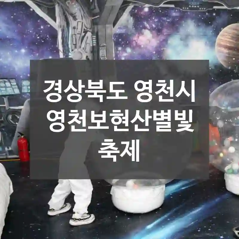 경상북도 영천시
영천보현산별빛축제