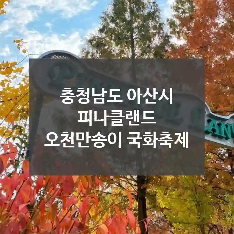충청남도 아산시
피나클랜드 오천만송이 국화축제