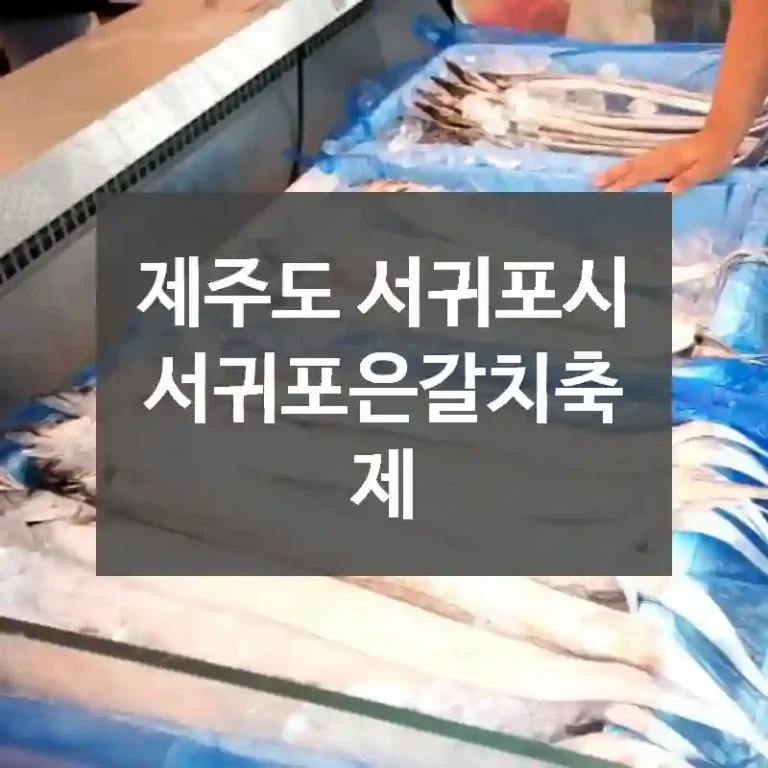 제주도 서귀포시
서귀포은갈치축제