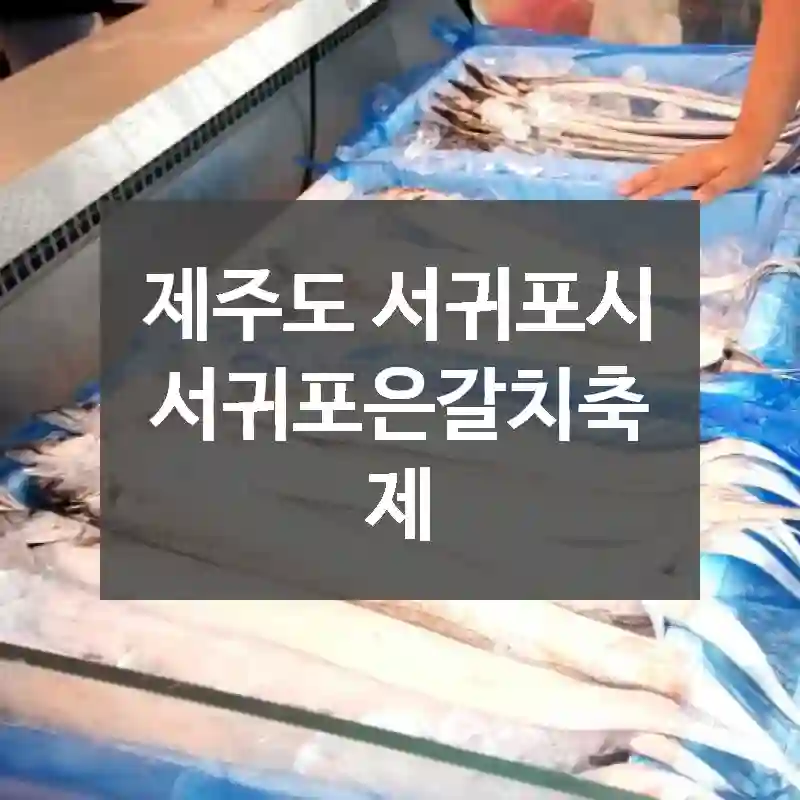 제주도 서귀포시
서귀포은갈치축제