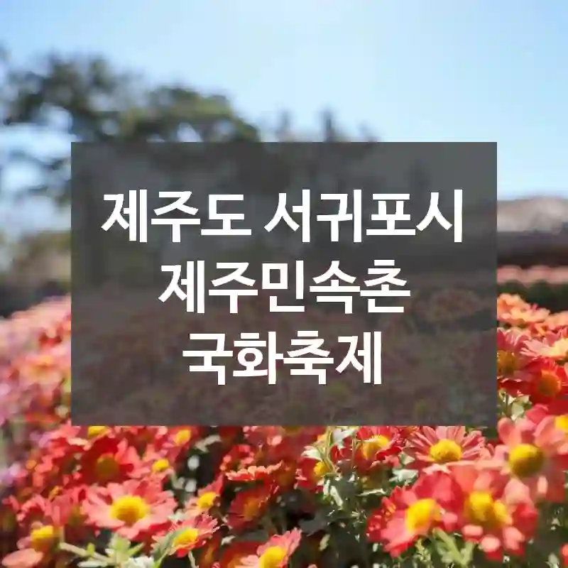 제주도 서귀포시
제주민속촌 국화축제