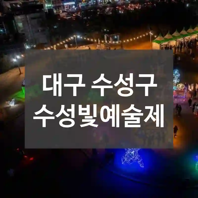 대구 수성구
수성빛예술제