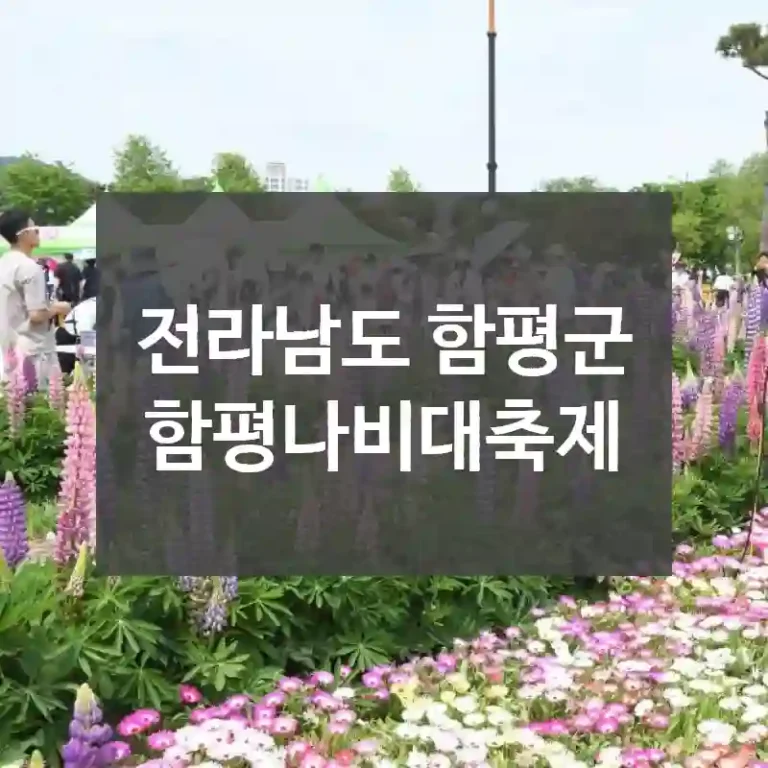 전라남도 함평군
함평나비대축제