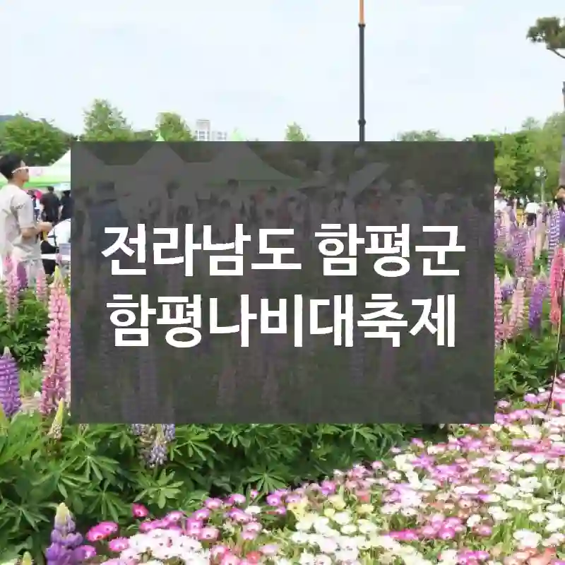 전라남도 함평군
함평나비대축제
