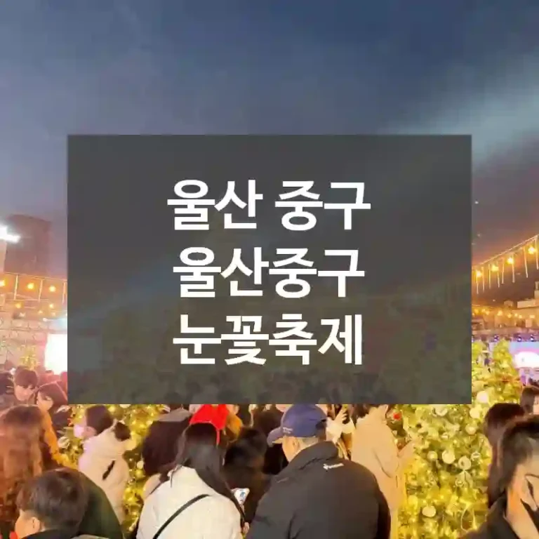 울산 중구
울산중구 눈꽃축제