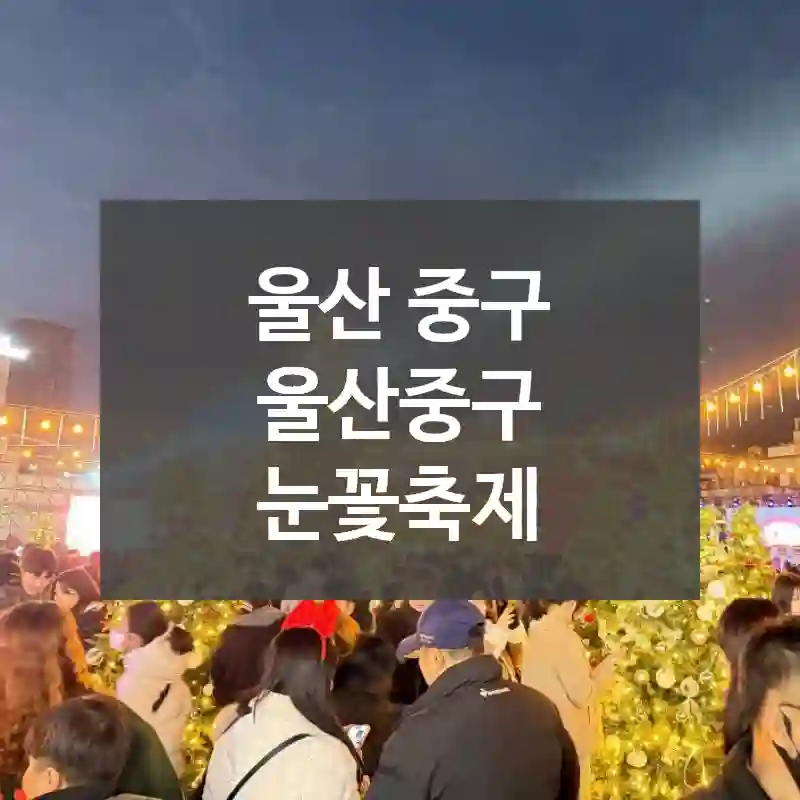 울산 중구
울산중구 눈꽃축제