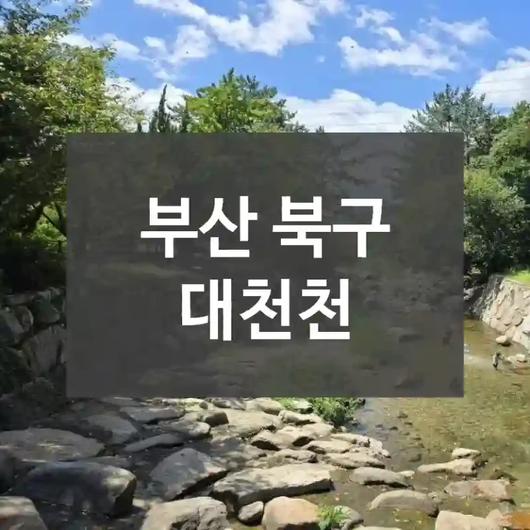 부산 북구
대천천
