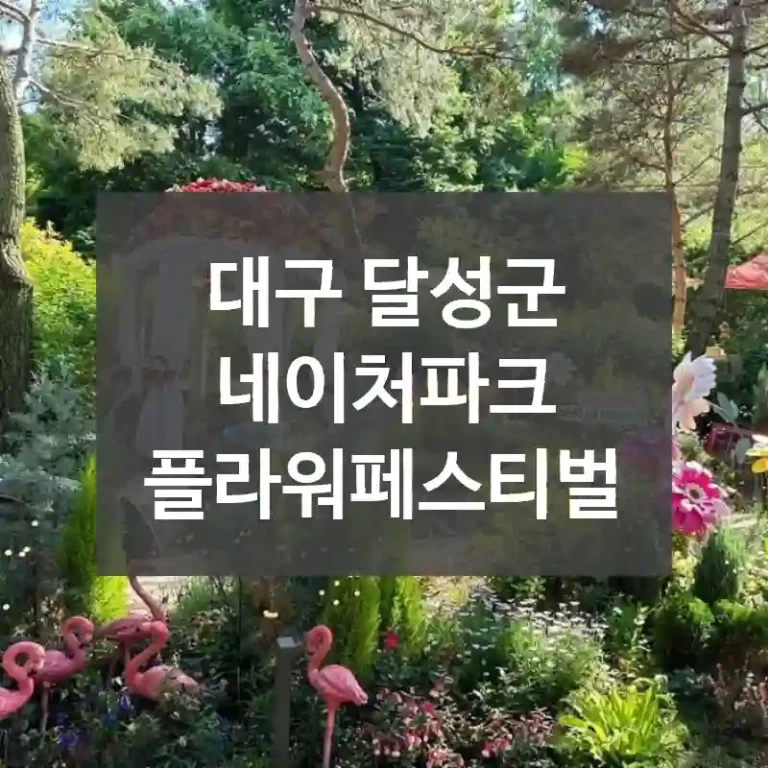 대구 달성군
네이처파크 플라워페스티벌