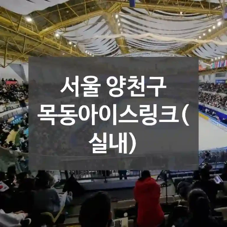 서울 양천구
목동아이스링크(실내)