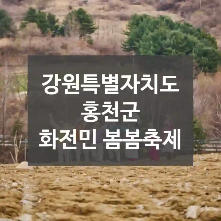 강원특별자치도 홍천군
화전민 봄봄축제