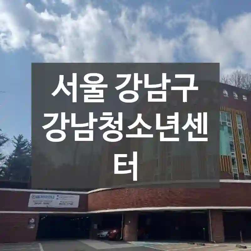 서울 강남구
강남청소년센터