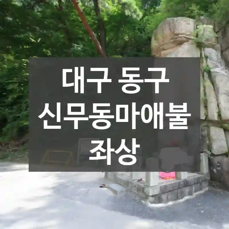 대구 동구
신무동마애불좌상