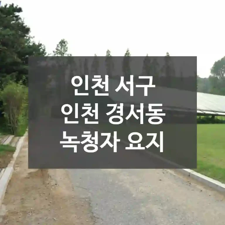 인천 서구
인천 경서동 녹청자 요지