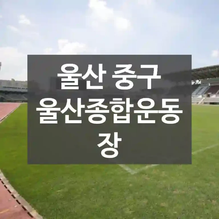 울산 중구
울산종합운동장