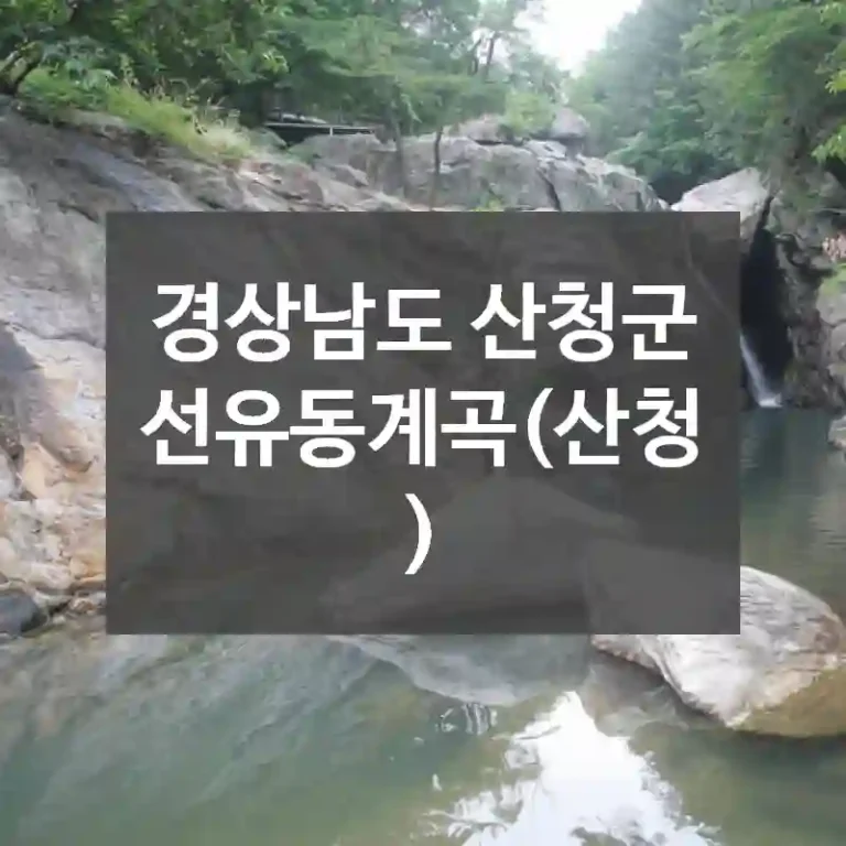 경상남도 산청군
선유동계곡(산청)