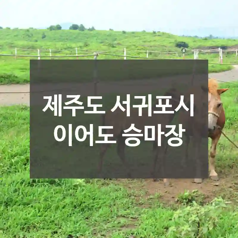 제주도 서귀포시
이어도 승마장