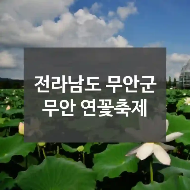 전라남도 무안군
무안 연꽃축제