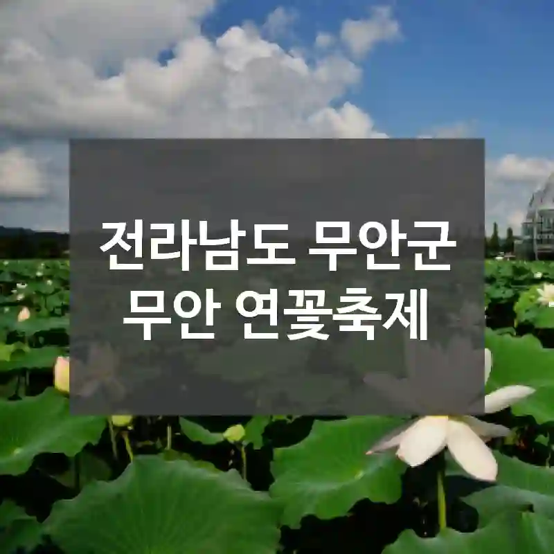 전라남도 무안군
무안 연꽃축제