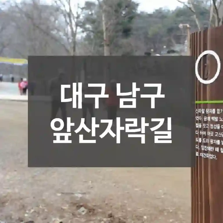 대구 남구
앞산자락길