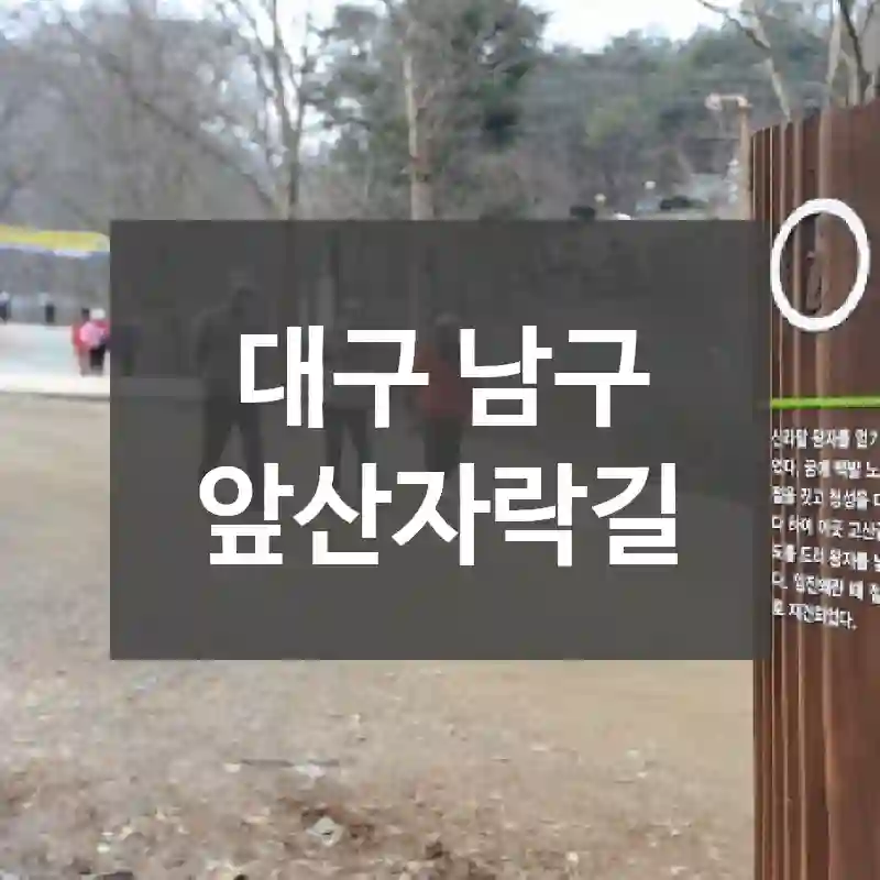 대구 남구
앞산자락길