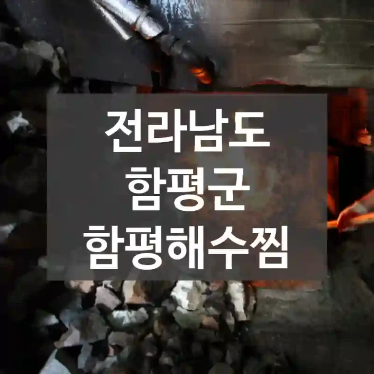 전라남도 함평군
함평해수찜