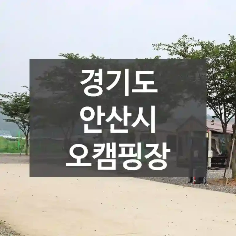 경기도 안산시
오캠핑장