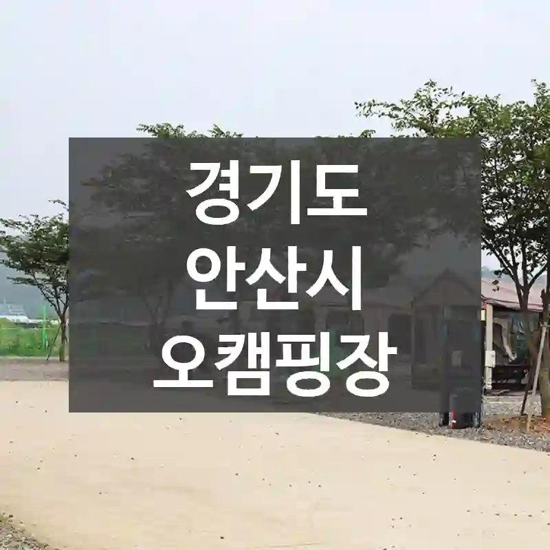 경기도 안산시
오캠핑장