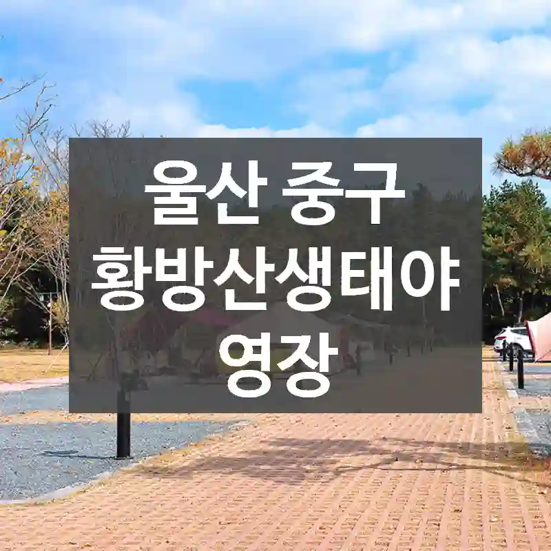 울산 중구
황방산생태야영장