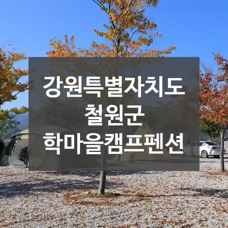 강원특별자치도 철원군
학마을캠프펜션