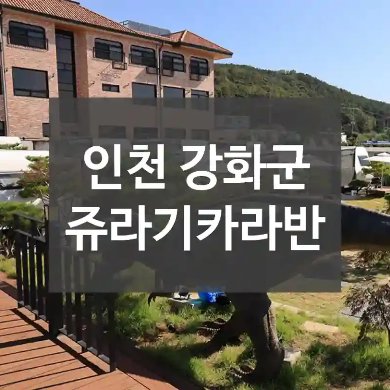 인천 강화군
쥬라기카라반