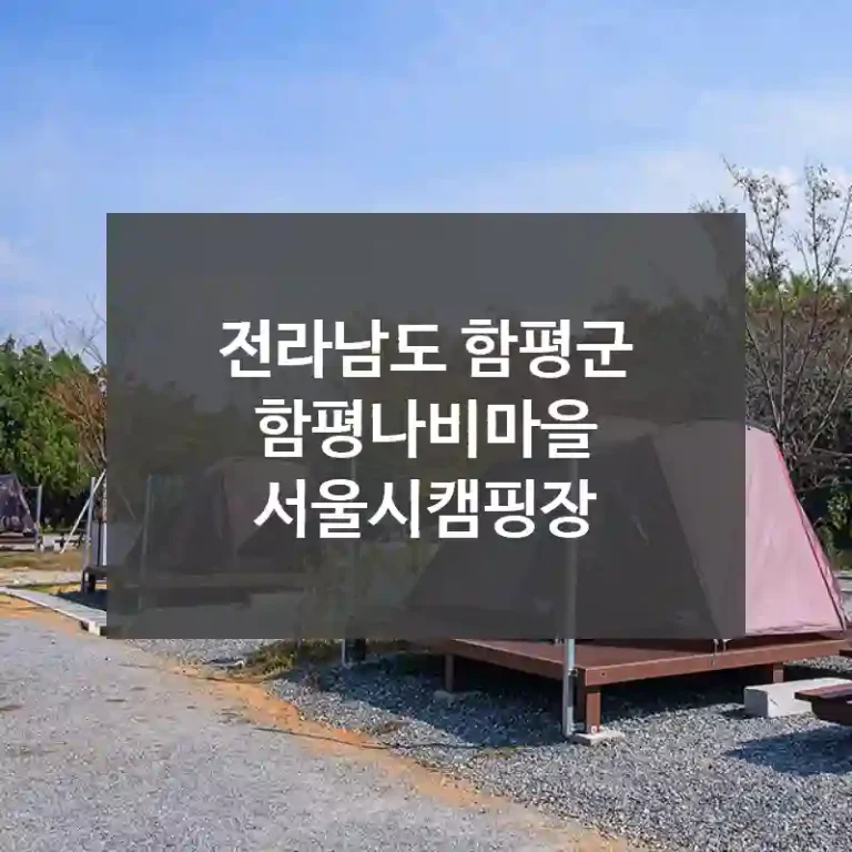 전라남도 함평군
함평나비마을 서울시캠핑장