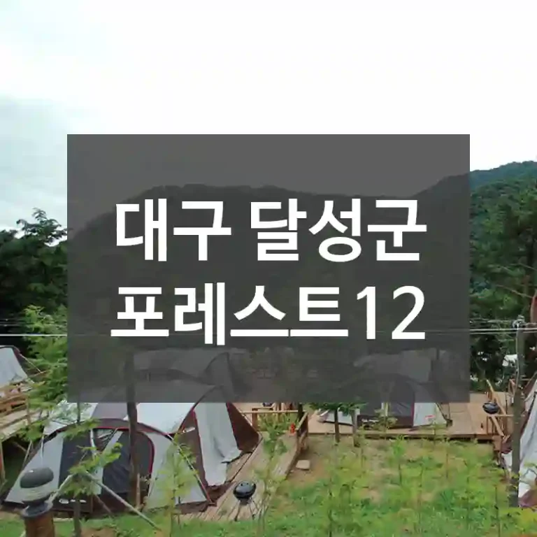 대구 달성군
포레스트12